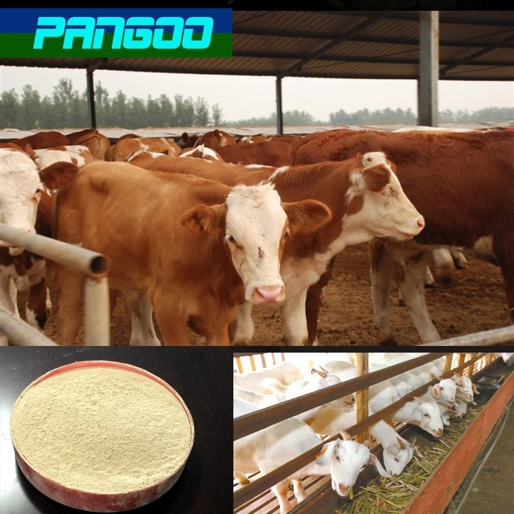 Feed Probiotics For Cattle/cow/sheep/cattle Weight Gain Buy Cattle