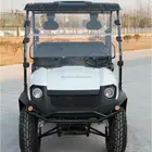 New model 4 seater electric golf cart for holiday village