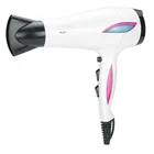 Automatic hair dryer and body dryer