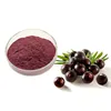 /product-detail/food-additives-freeze-dried-organic-acai-berry-extract-powder-62045241942.html