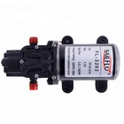 12 DC 5LPM 100psi high flow rate small mechanical diaphragm water/car washing pressure machine pump