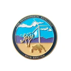 Brass Souvenir Brass Souvenir Lapel Pins Custom Your Own Designs Tourist Brass Coins Lapel Pins Custom Logo Souvenir Coin