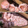 Wholesale Artificial Flower Large Peony Heads For Wedding Decoration