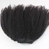 Natural hair style for black women natural color afro kinky curly 4a/4b/4c hair clip in extensions