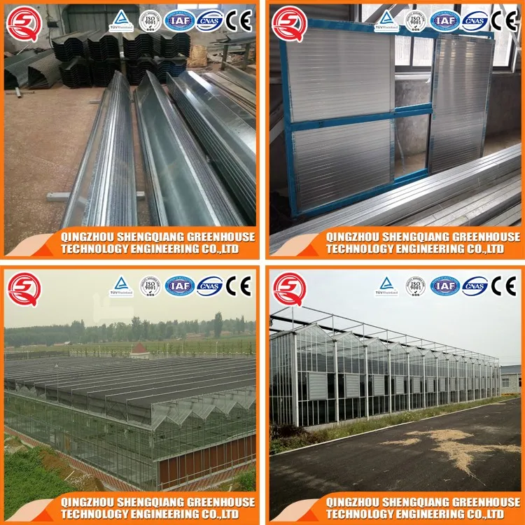 Factory Direct Sale Glass Greenhouse