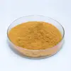 Best quality Tumeric Extract, Hot sale Tumeric Extract powder, turmeric root extract powder 95%