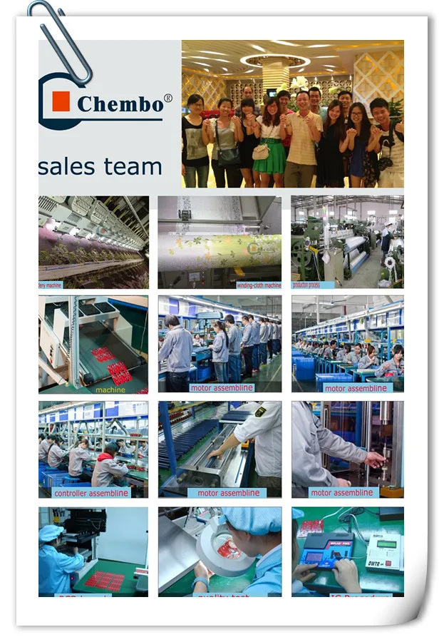 chembo team.jpg