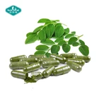 Moringa Oleifera Moringa Oleifera Capsules Wholesale Moringa Oleifera Powder Capsules Moringa