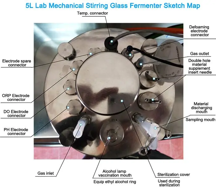 fermenter.jpg