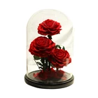 No.7 Festival Gifts Wholesale Size D20cm H30cm Preserved Rose Flower 3pcs Glass Dome