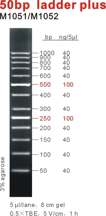 50bp dna ladder plus marker oem buy dna ladder dna marker 50bp ladder product on alibaba com