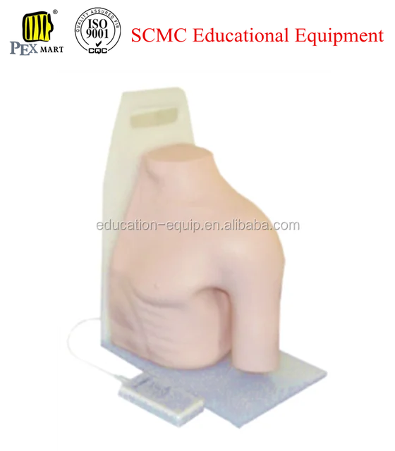 shoulder joint caviyt injection model se35n198