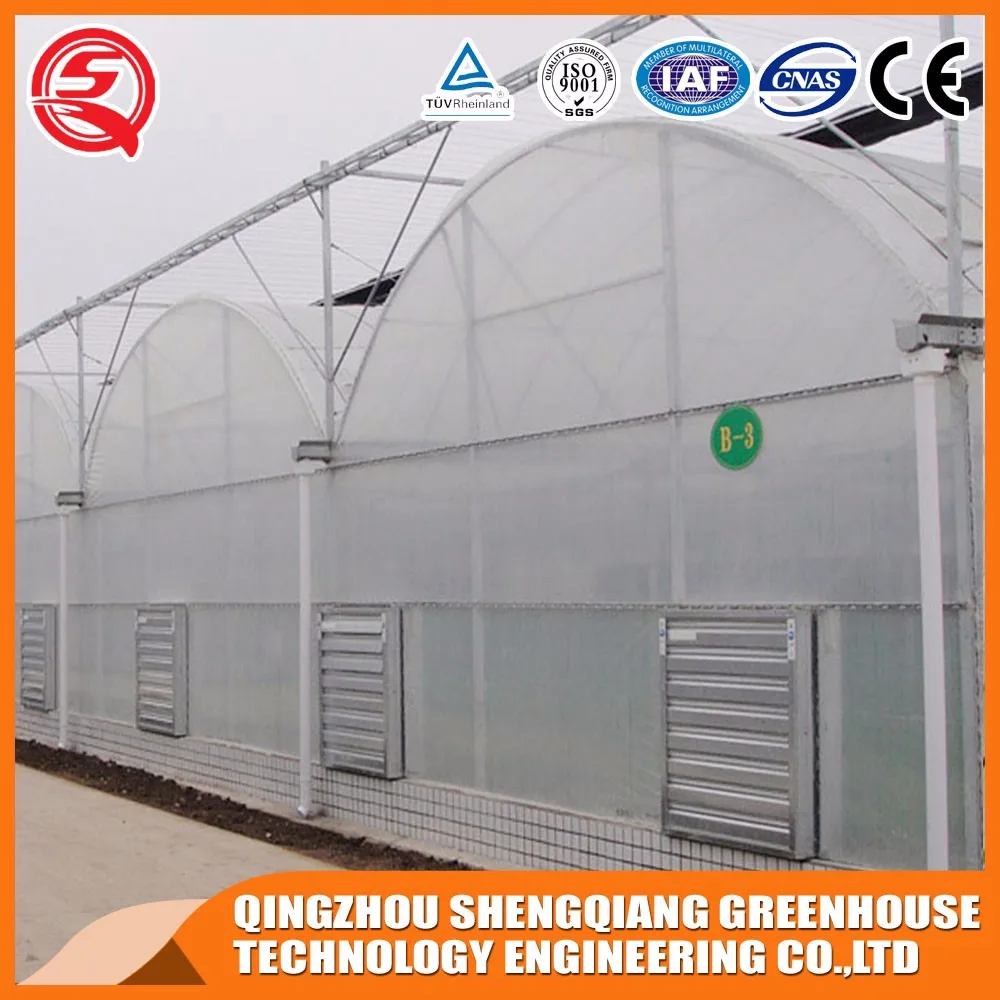 2016 high quality low cost plastic greenhouse made in China