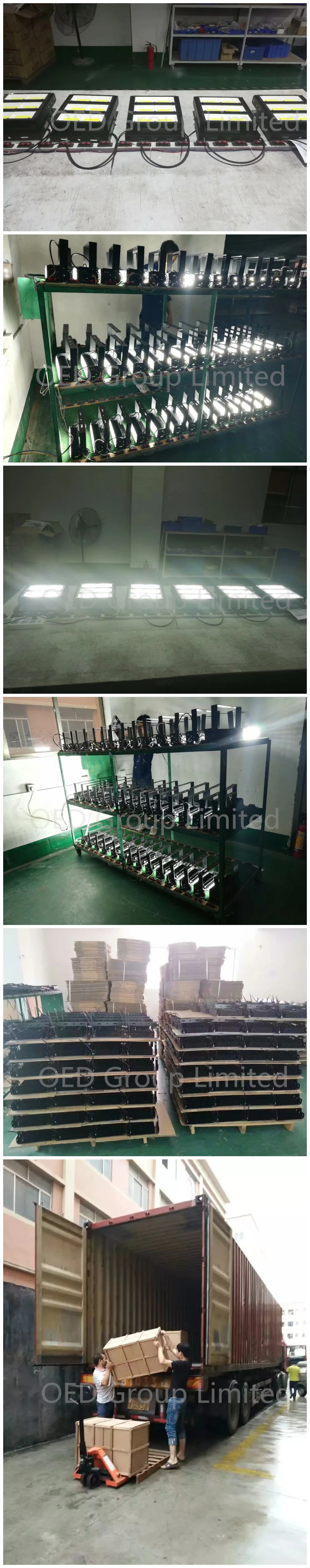 Adjustable beam angle IP67 module COB LED floodlight 100W for sport field lighting