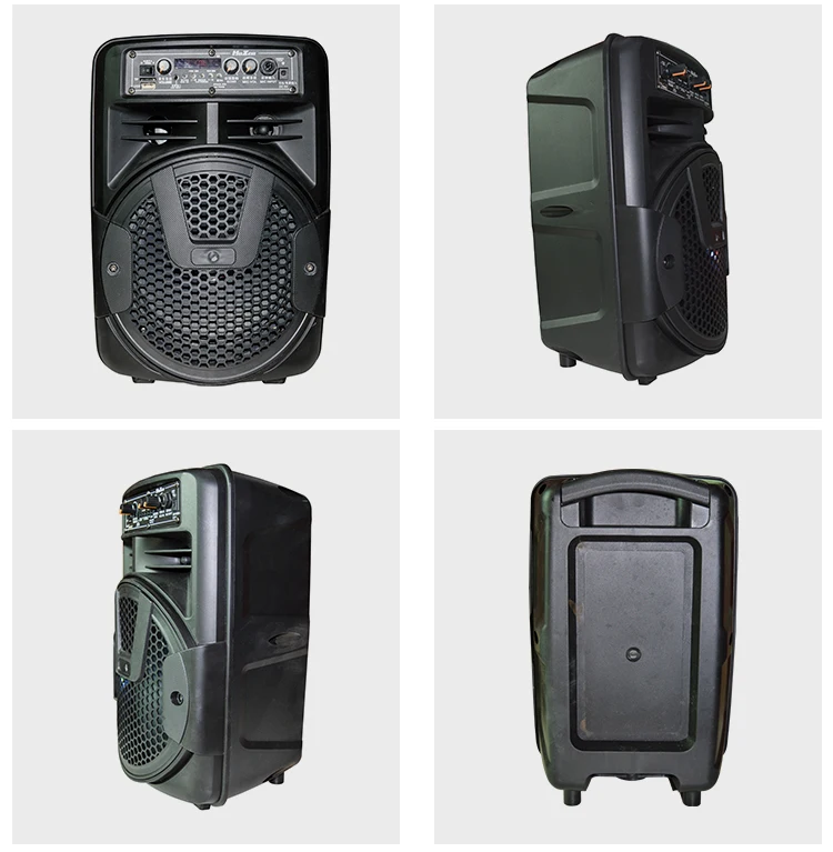 Hoxen 8 Inch Speaker Portable Mini Speaker DJ Speaker System Subwoofer Sound Box With LED Light - ANKUX.COM