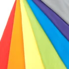 100% POLYESTER SOLID POLAR MICRO FLEECE ANTI-PILL FABRIC