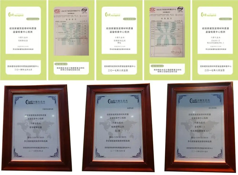 certification.jpg
