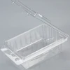 Custom Disposable PET Food Packaging Tray Blister Container