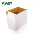 F019 Forest packing manufacturing companies best price white cardboard