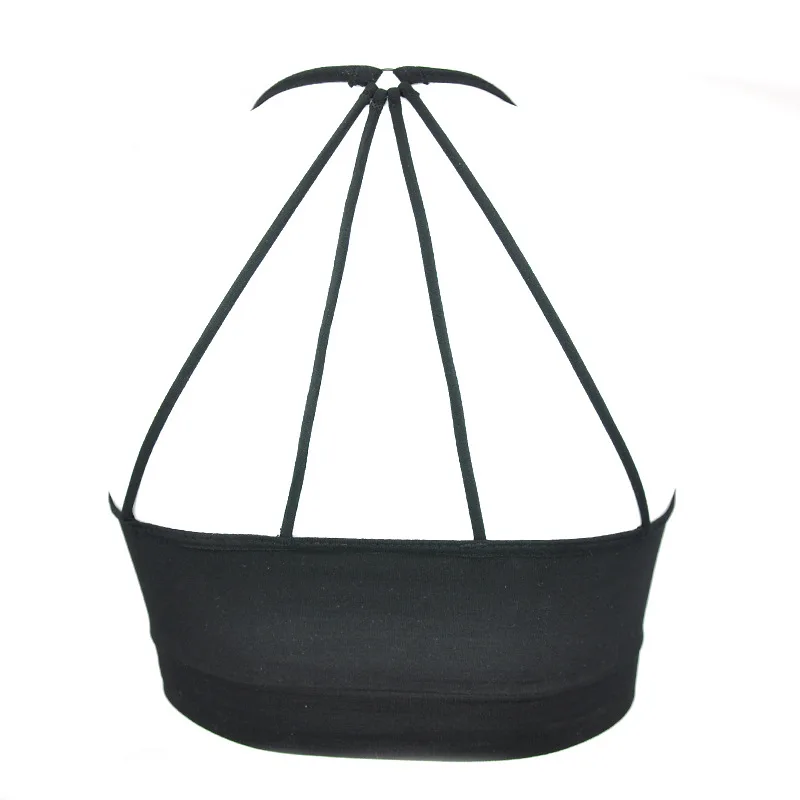 3937902306_1176988226