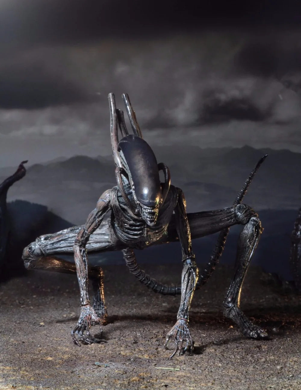 51658-Alien-Covenant-Xenomorph