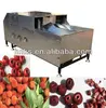 /product-detail/hot-sale-olive-pitting-machine-86-15237108185-564859878.html