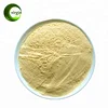 Medical grade antioxidant Red ginseng extract/RADIX GINSENG RUBRA P.E.