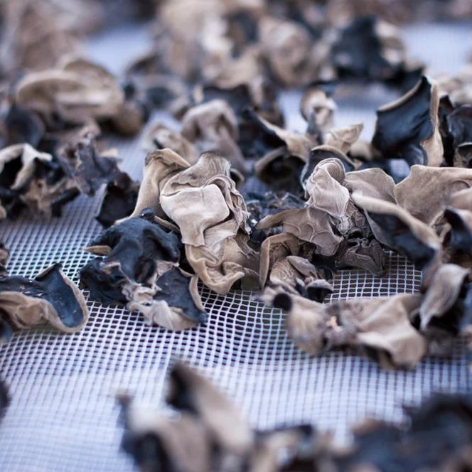 2018 Dry Black Fungus Wood Ear Dried Mushrooms