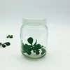 Glass jar packing herbs and spices,plants grown container fda 45CL 450ML