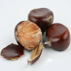 Chinese Best Quality Sweet Chestnuts For Sale