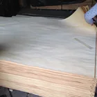 0.20mm Thickness Rotary Cut Basswood Wood Veneer Sheet