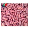 The Newest Crop England Red Kidney Beans, Adzuki Bean Price, Adzuki Beans