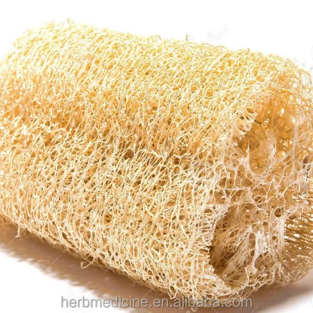 towel gourd sponge