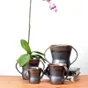 High quality royal gold and black color double handle ceramic bulk galvanized flower pot