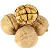 Raw Walnut Organic Bulk Nuts White Walnuts in Shell