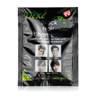 Hair dye product dexe black hair shampoo for the quick way