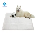 Quick Dry Puppy Training Pads, Waterproof Pet Training Pads For Dogs
