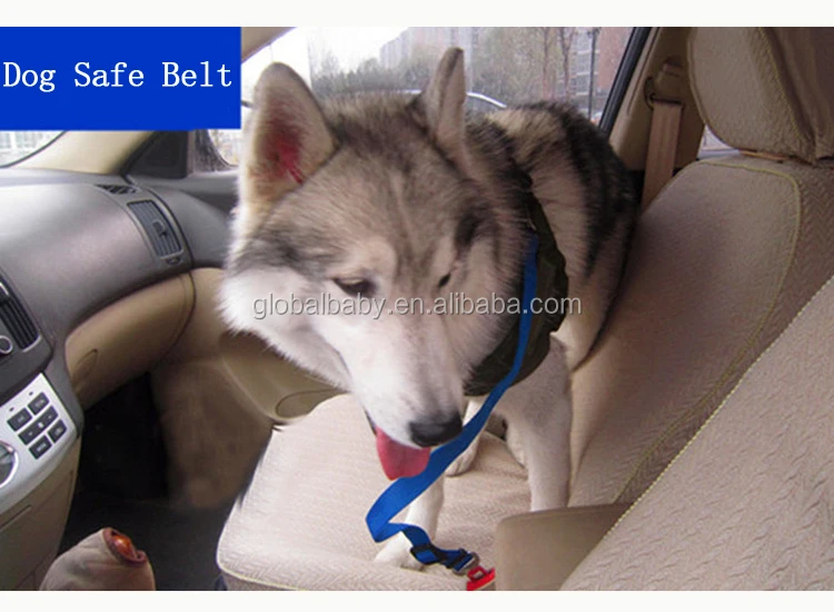 Multicolors Polyester Dog Pet Seat Safety Belt for Car Vehicle