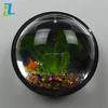/product-detail/indoor-wall-mounted-acrylic-fish-aquarium-large-and-mini-size-acrylic-fish-tank-environment-friendly-fish-bowl-60512721531.html