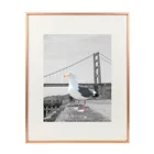 16x20 Metal Picture Frame Collection Aluminum Photo Frame with Ivory Color Mat for 11x14 Picture & Real Glass