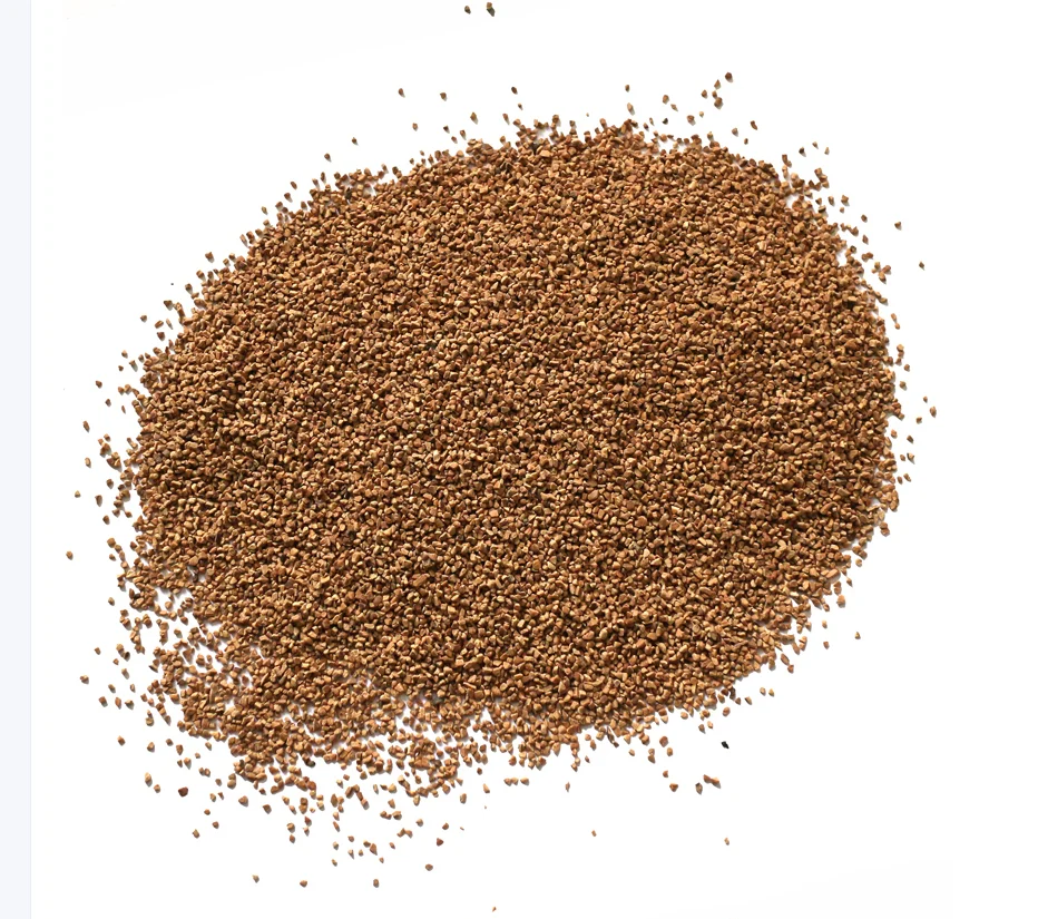 walnut shell 2.png