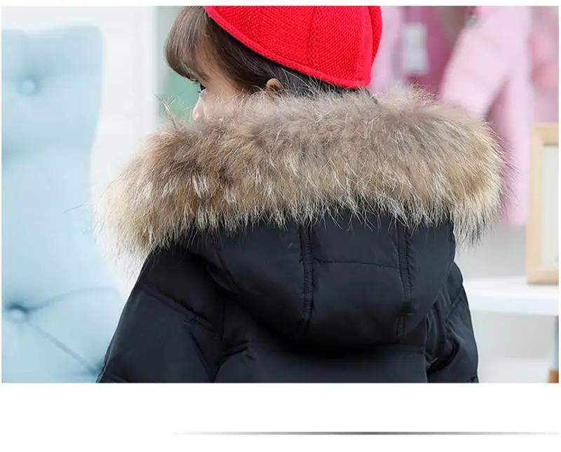 4931324595_1592257231