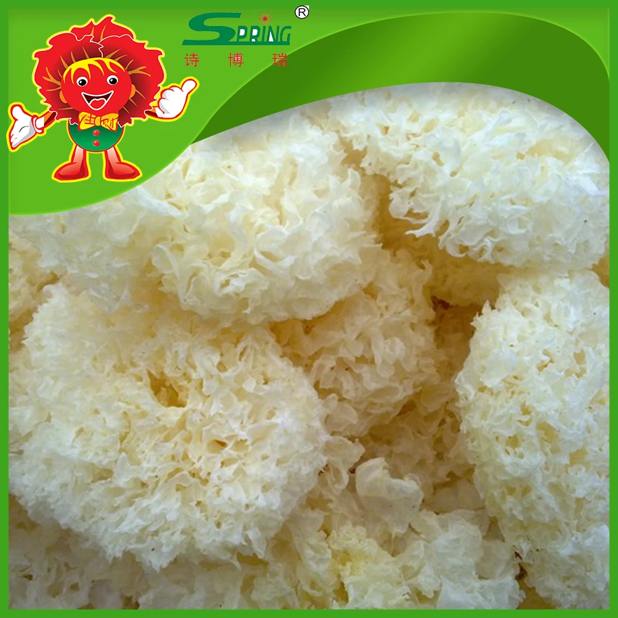 Organic certificated mushrooms air dried snow white fungus mushroom