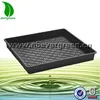 /product-detail/ps-flat-pulg-seed-tray-biodegradable-seed-tray-60192482963.html