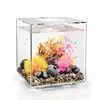 high quality factory price small acrylic fish tank