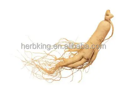 Korea Panax Ginseng Extract./ red panax ginseng extract 90045-38-8