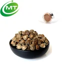 Moringa Powder Powder Moringa Powder Herbal Supplement High Potency Moringa Seed Extract Powder
