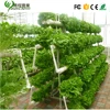 /product-detail/industrial-greenhouse-hydroponic-system-with-greenhouse-hydroponics-60784456811.html