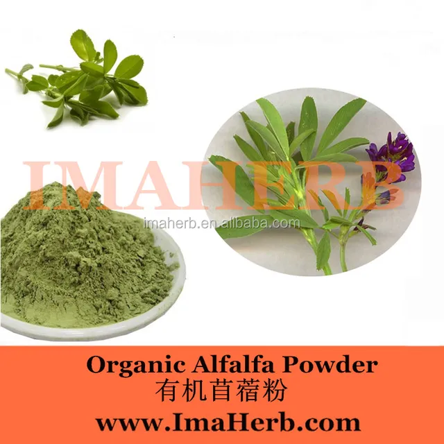 free sample organic dry feed alfalfa hay extract powder