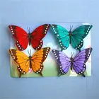 Butterfly Amazing Simulate Feather Butterfly For Wall Decoration